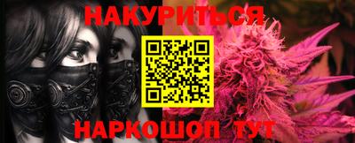 ALPHA PVP Гай
