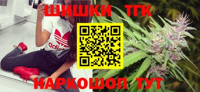 индика Гагарин