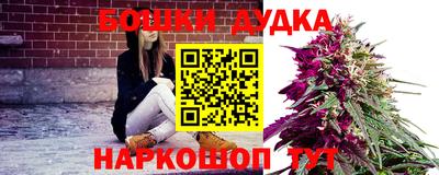 ALPHA PVP Гай