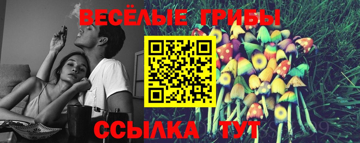 Псилоцибиновые грибы GOLDEN TEACHER Менделеевск